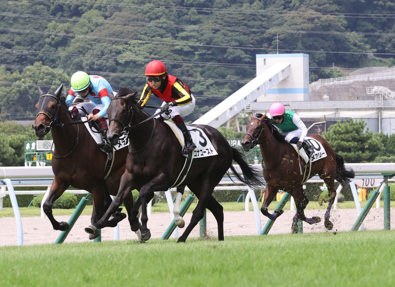 新馬戦を制したコナコースト（3番）と鮫島克駿騎手（撮影・梅根麻紀）