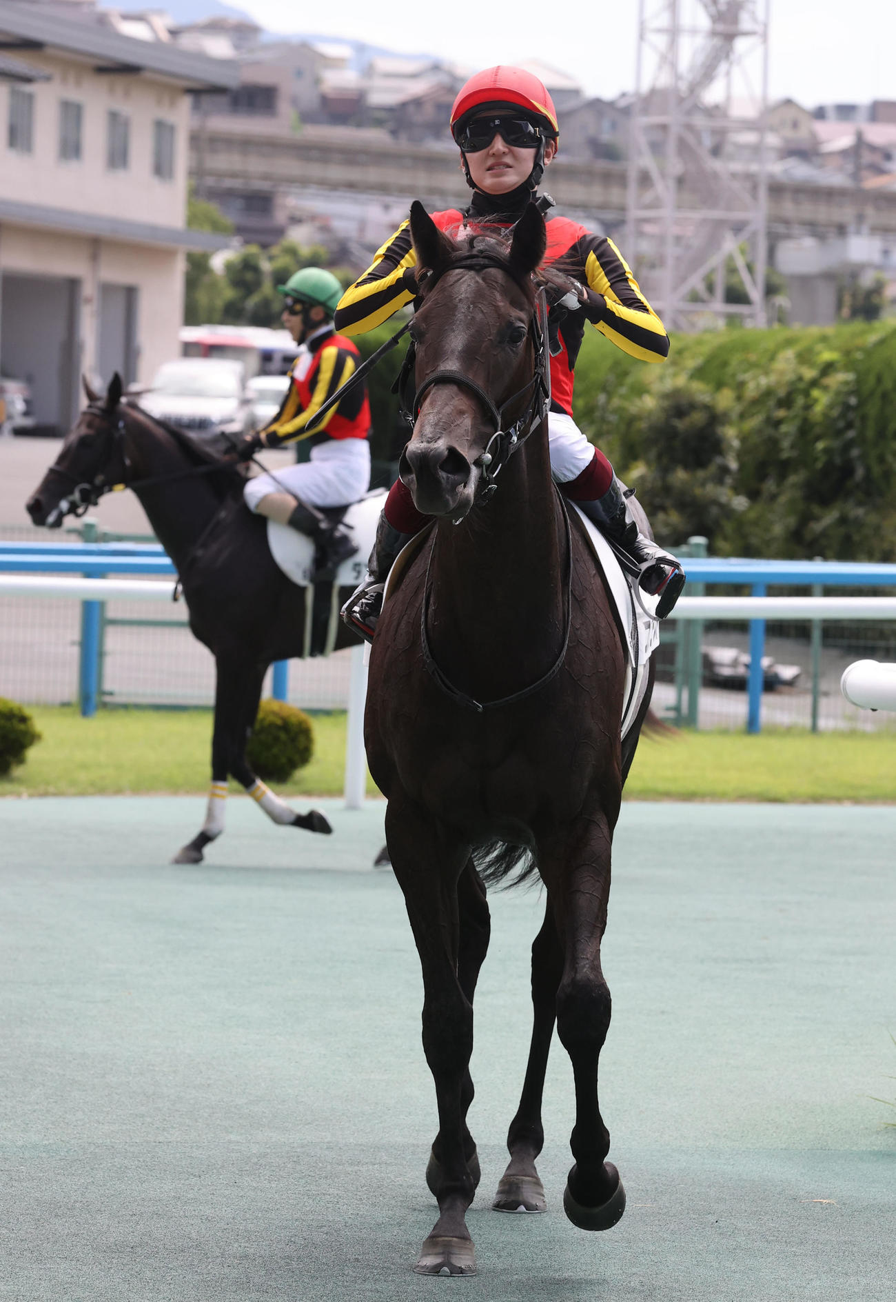 5R 2歳新馬　2歳新馬を制した3番コナコーストと鮫島克駿騎手（撮影・梅根麻紀）