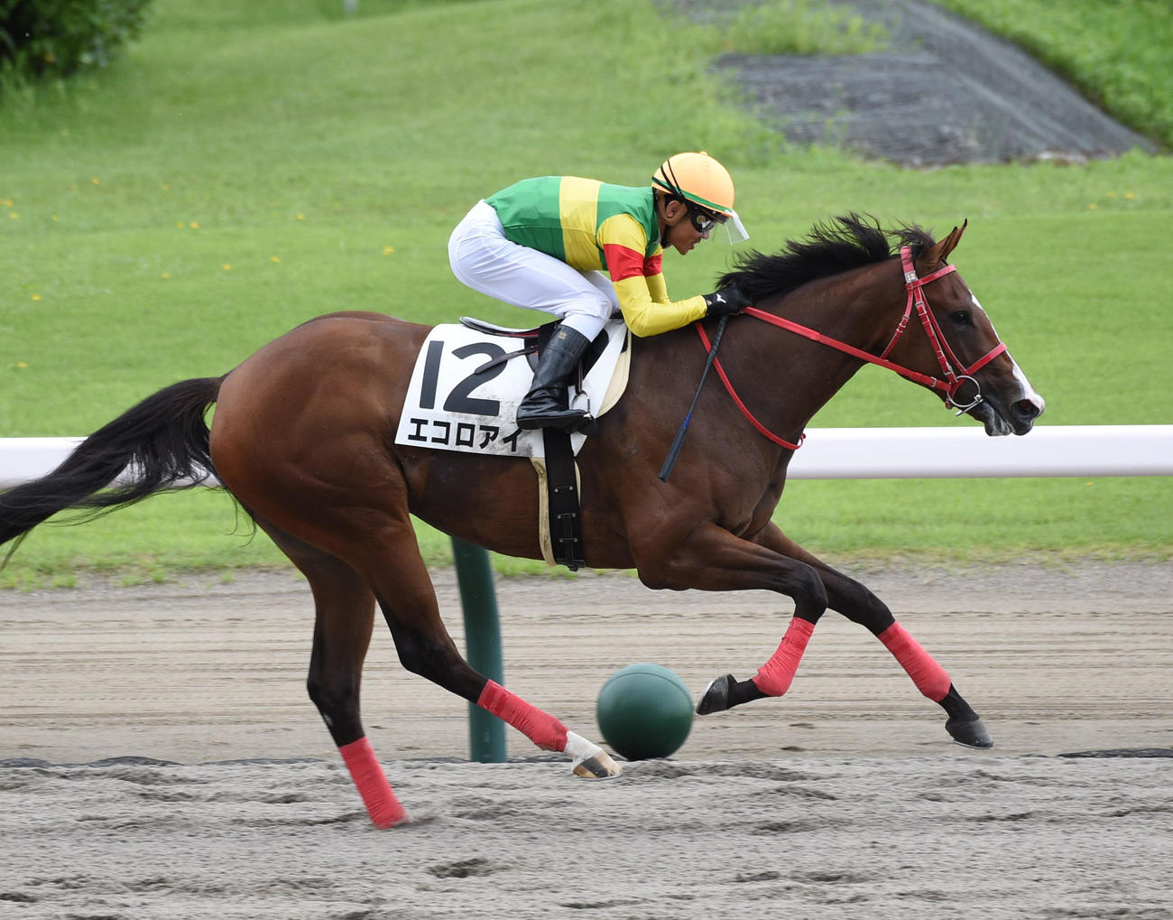 6R、新馬戦を制したエコロアイと戸崎騎手（撮影・柴田隆二）