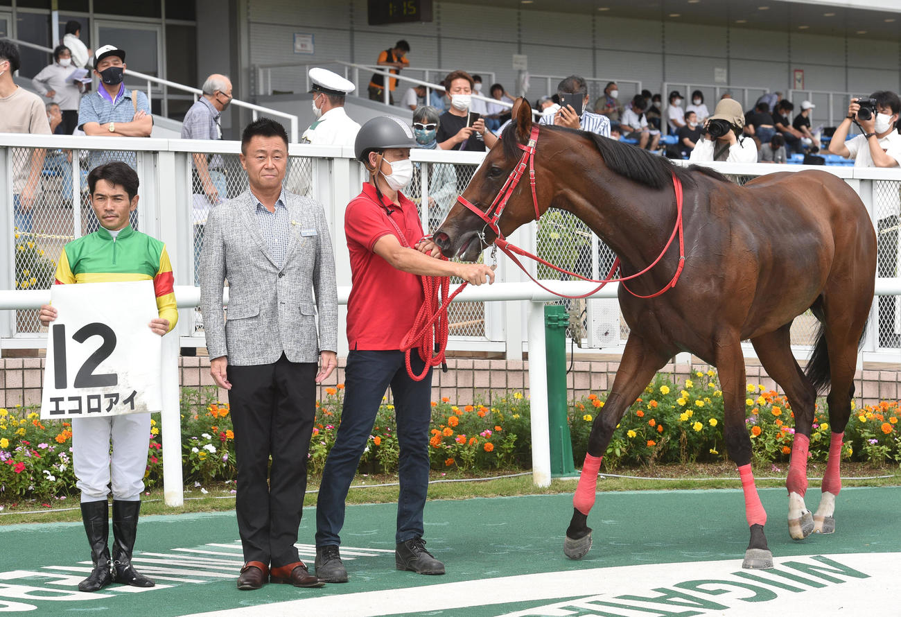 6R、新馬戦を制したエコロアイと戸崎騎手（撮影・柴田隆二）