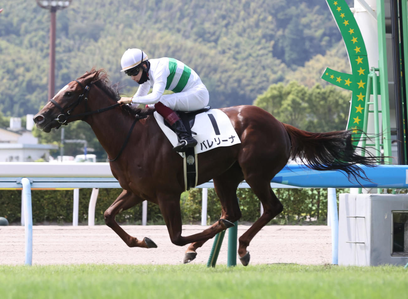 新馬戦を制したバレリーナと西村淳也騎手（撮影・梅根麻紀）