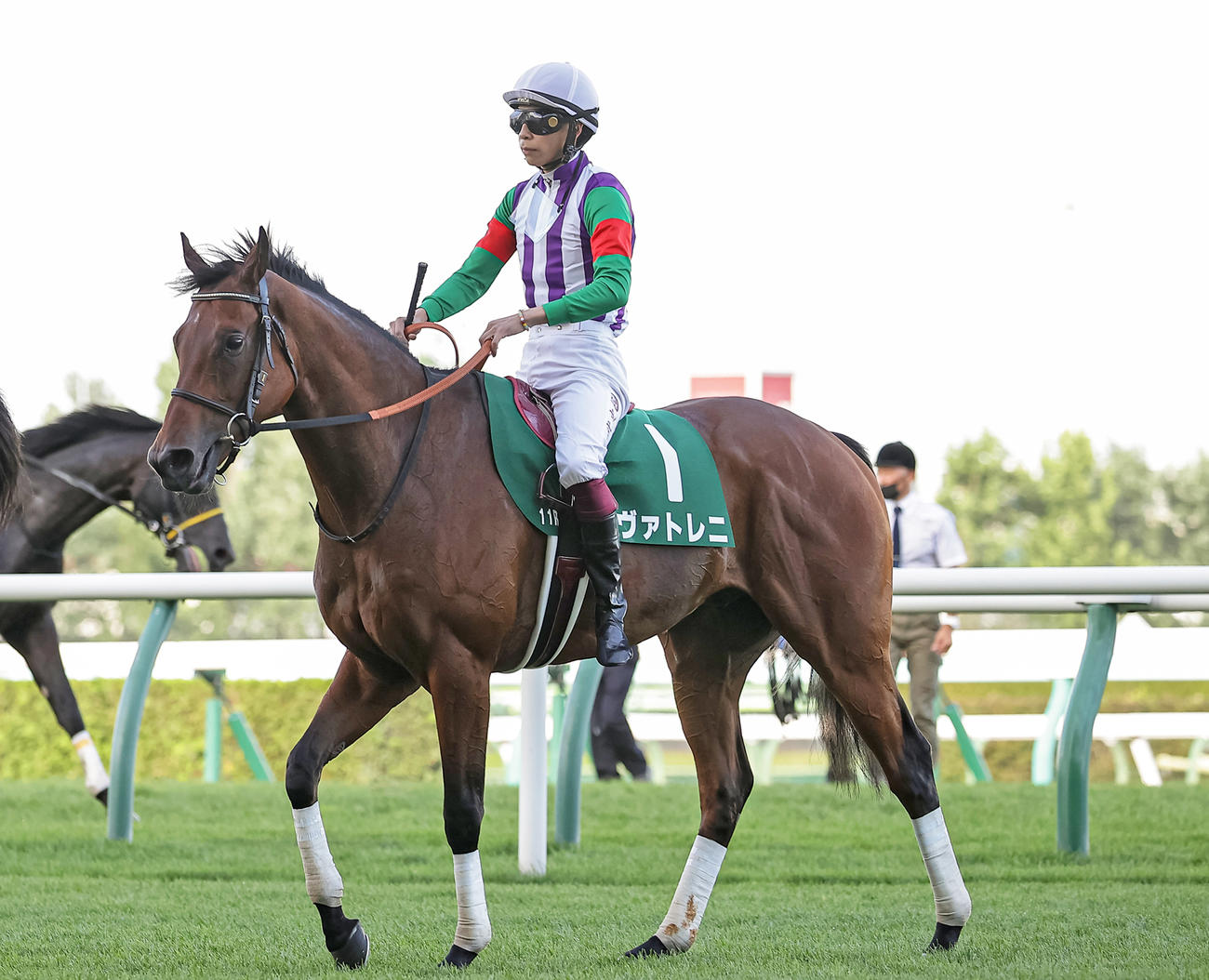 キーンランドC3着に敗れたヴァトレニ（撮影・村野早祐）