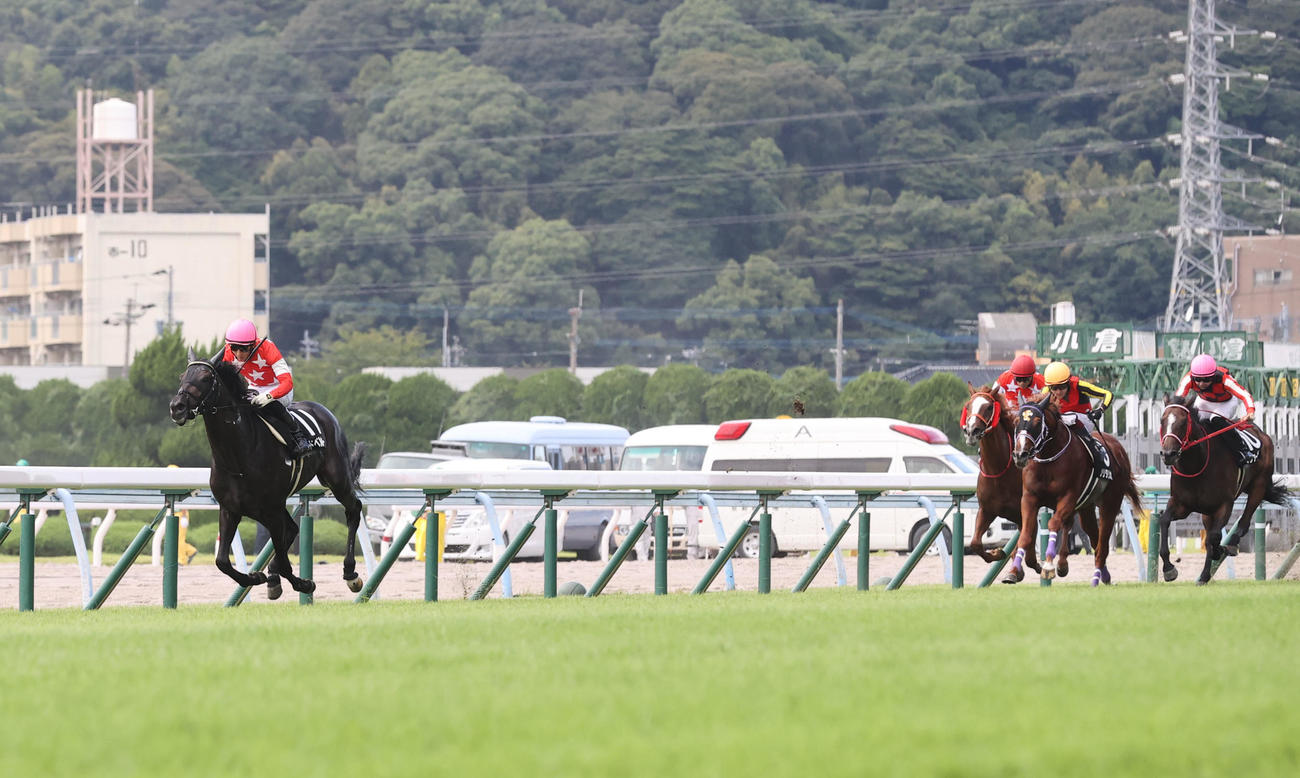 後続に大差をつけて勝利したレッドベルオーブと幸英明騎手（撮影・梅根麻紀）