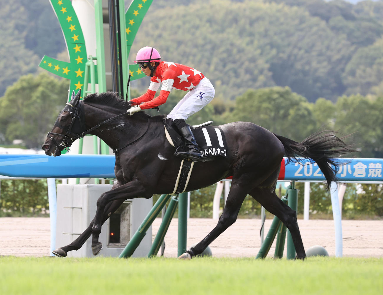後続に大差をつけて勝利したレッドベルオーブと幸英明騎手（撮影・梅根麻紀）