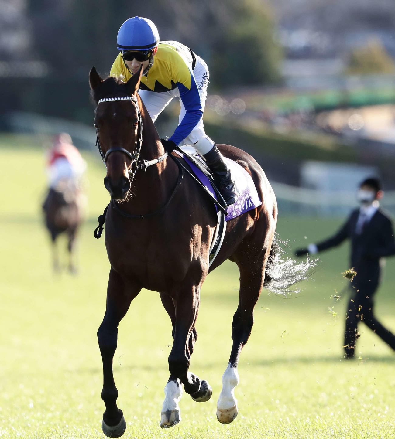 昨年の有馬記念に出走したユーキャンスマイル（21年12月26日撮影）