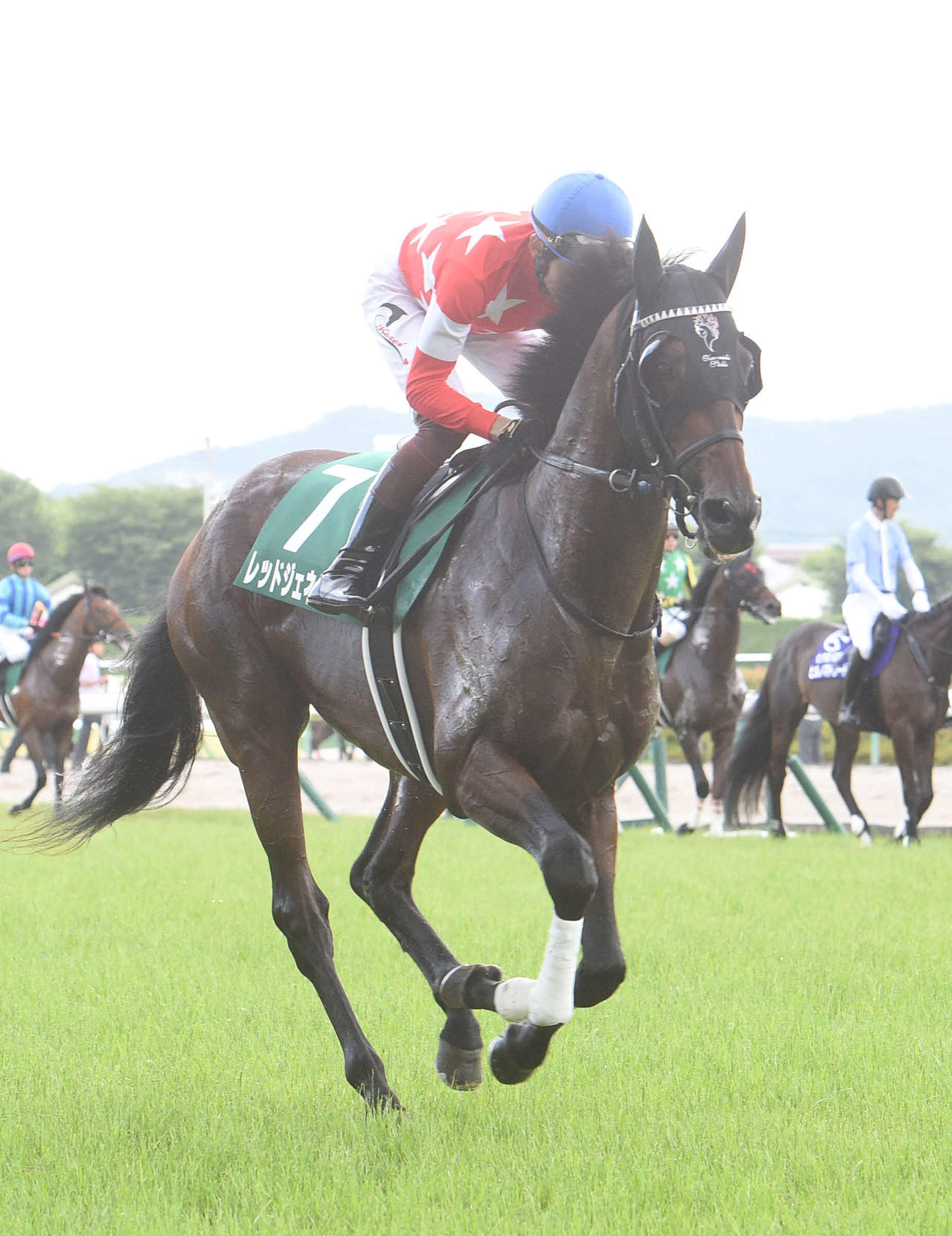 七夕賞に出走したレッドジェネシス（22年7月10日撮影）