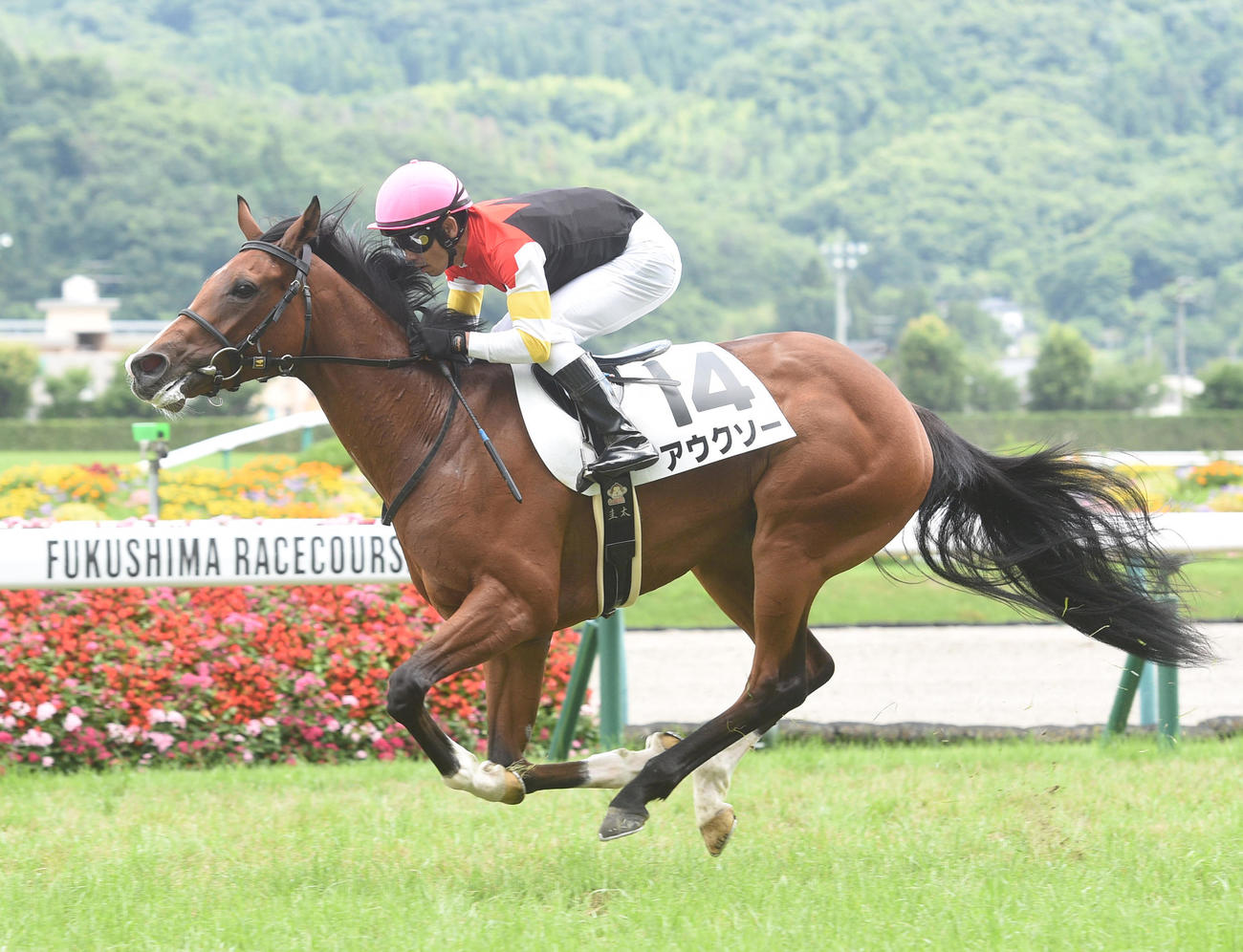 福島で新馬戦を制したアウクソー（7月24日撮影）