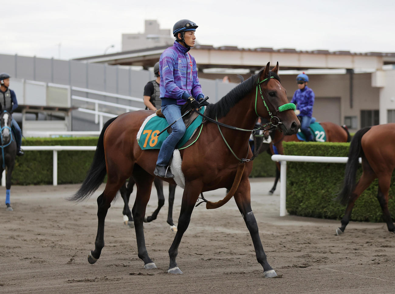 札幌2歳Sに向け、札幌競馬場で調整するブラストウェーブ