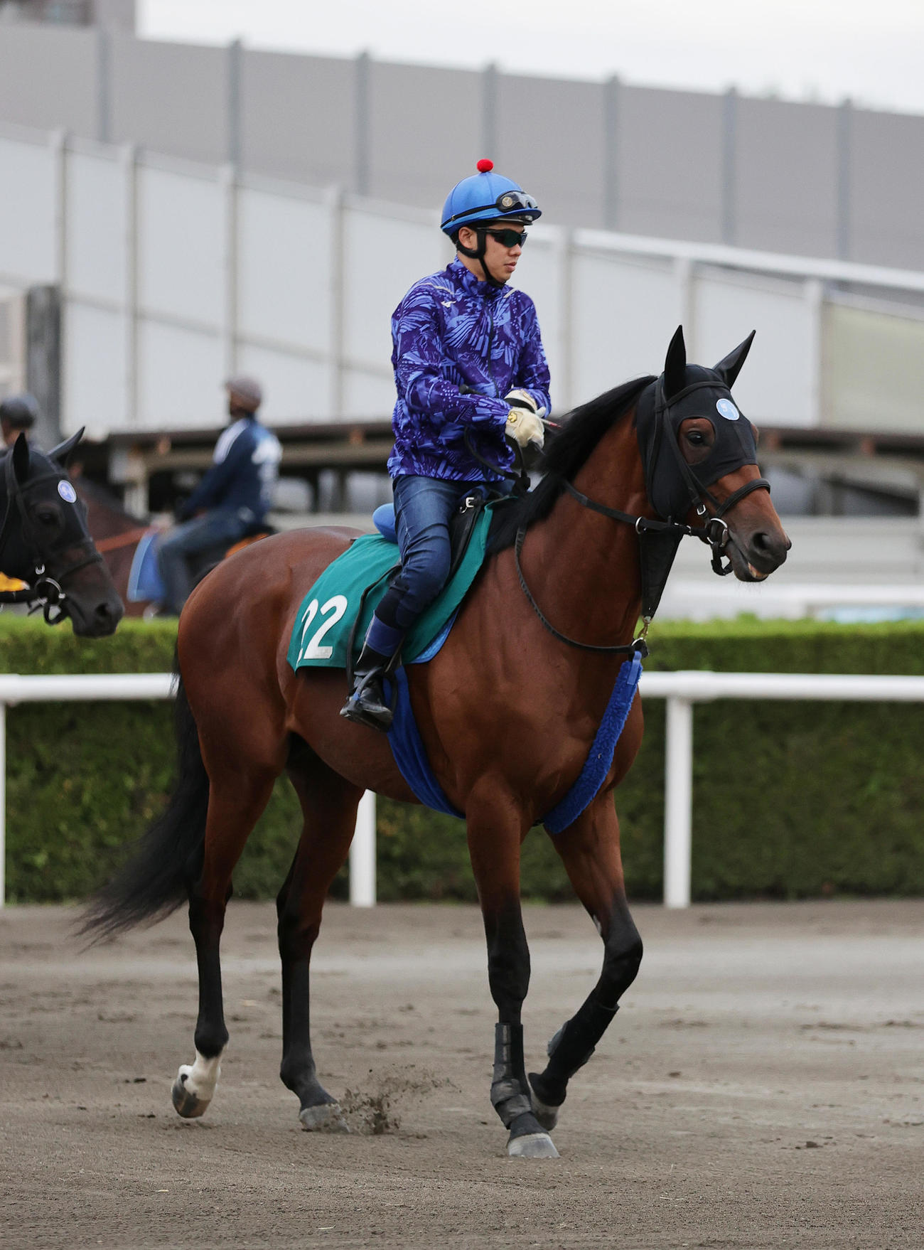 札幌競馬場で調整するダイヤモンドハンズ
