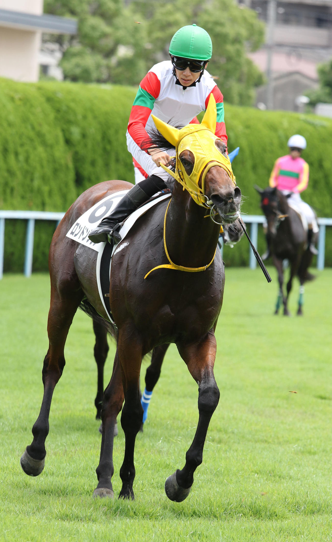 22年7月3日、新馬戦を勝ち、引き揚げるロンドンプラン
