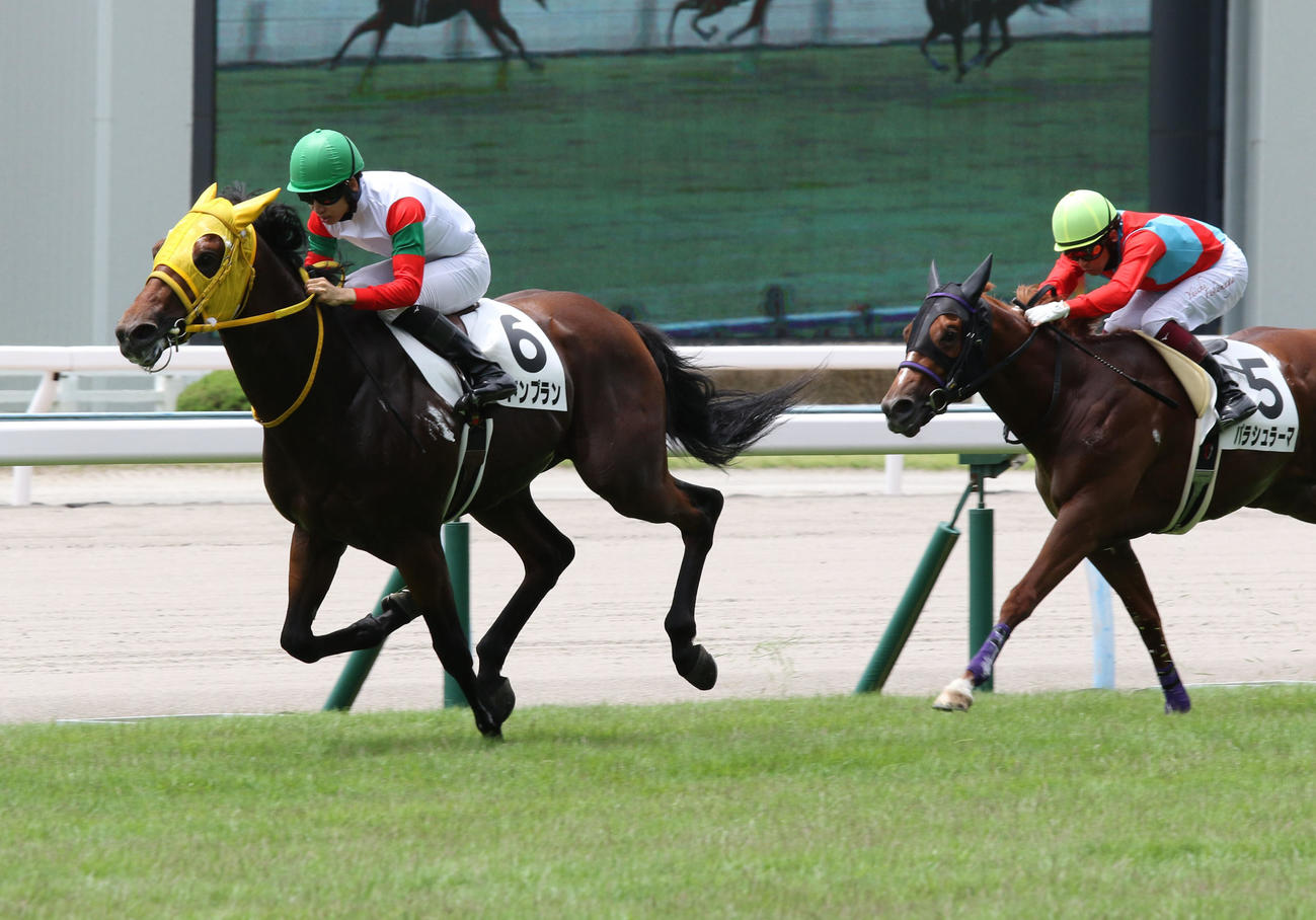 7月3日、新馬戦を快勝したロンドンプラン