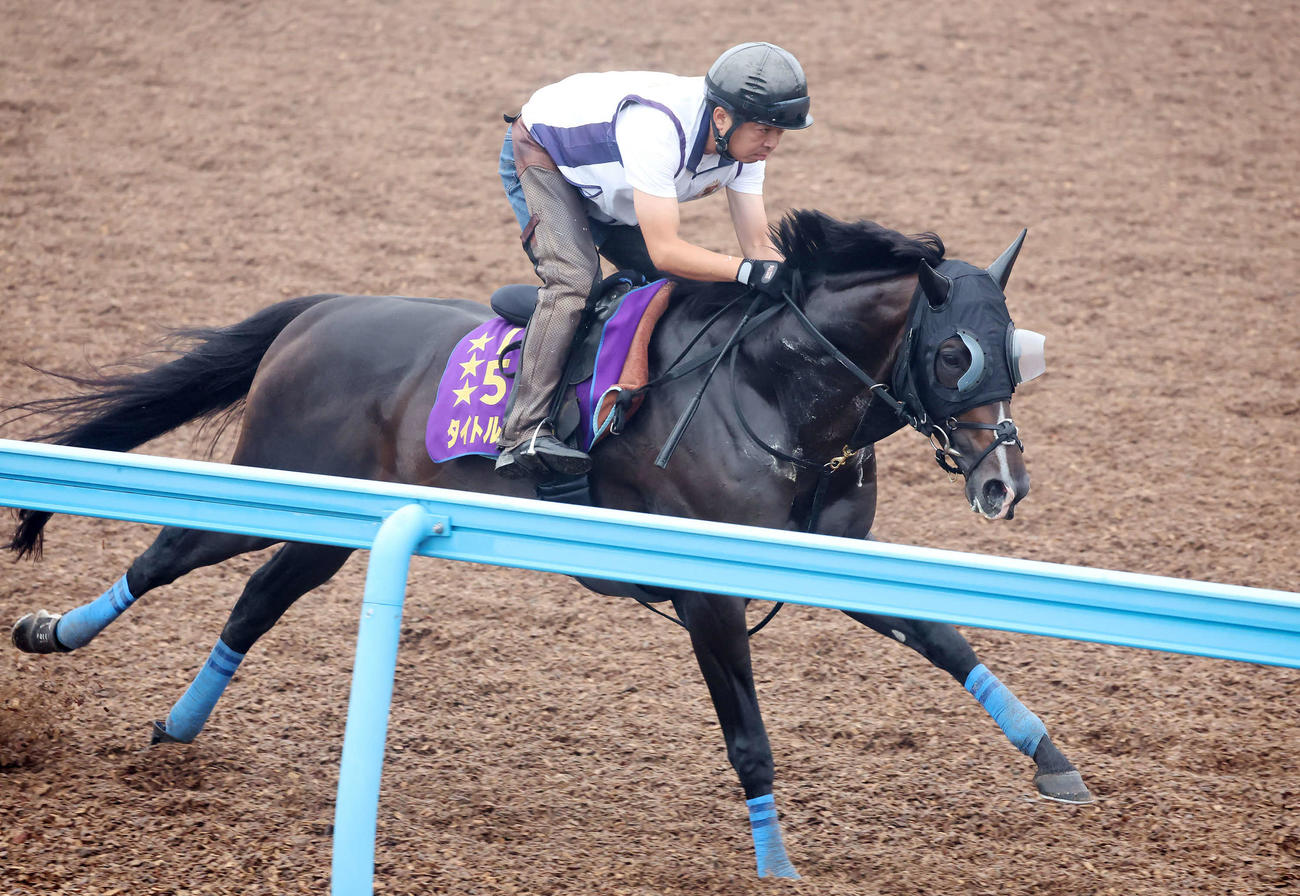 タイトルホルダーは美浦ウッドを単走で追い切られた（撮影・丹羽敏通）
