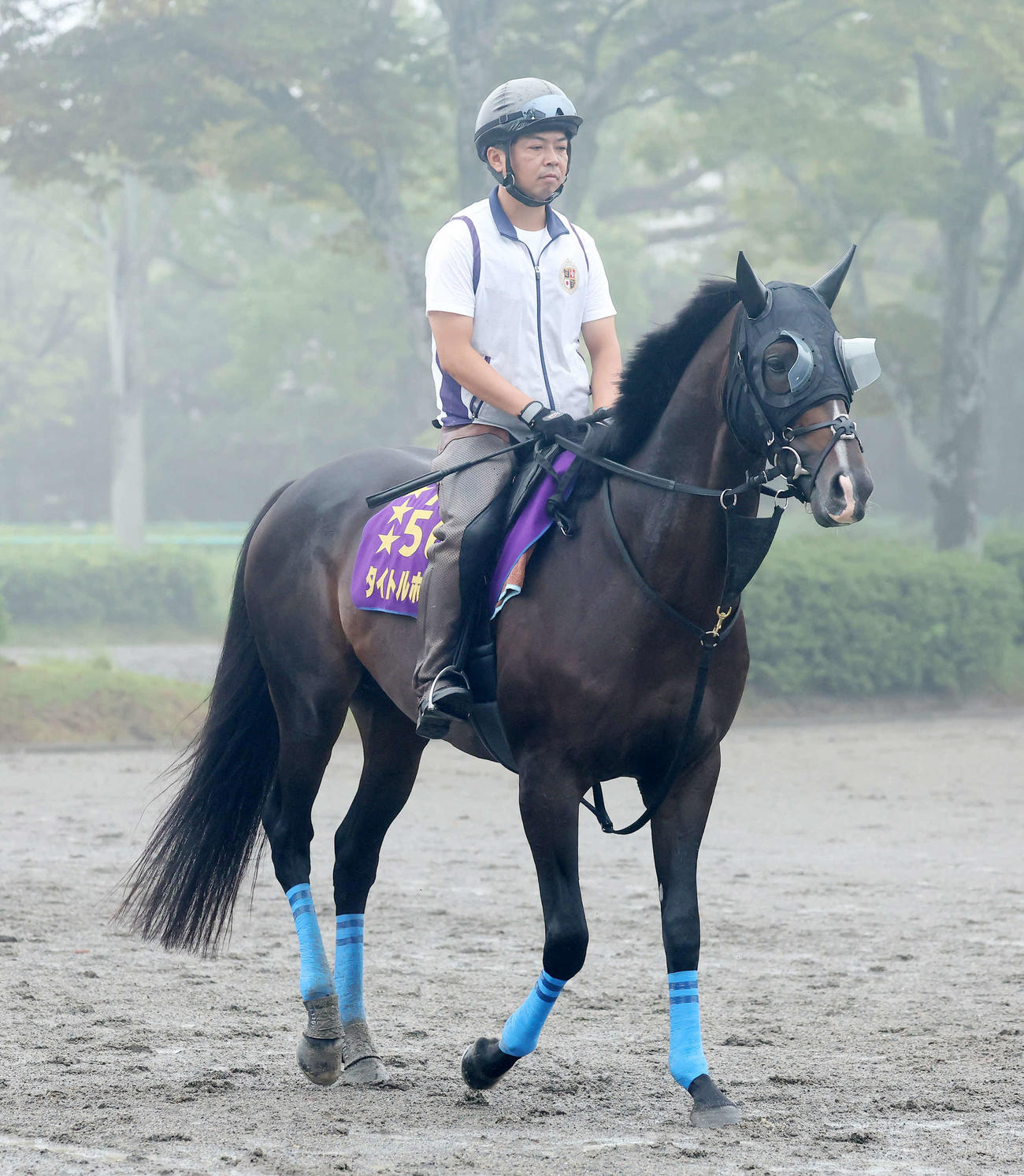 馬場へ向かうタイトルホルダー（撮影・丹羽敏通）
