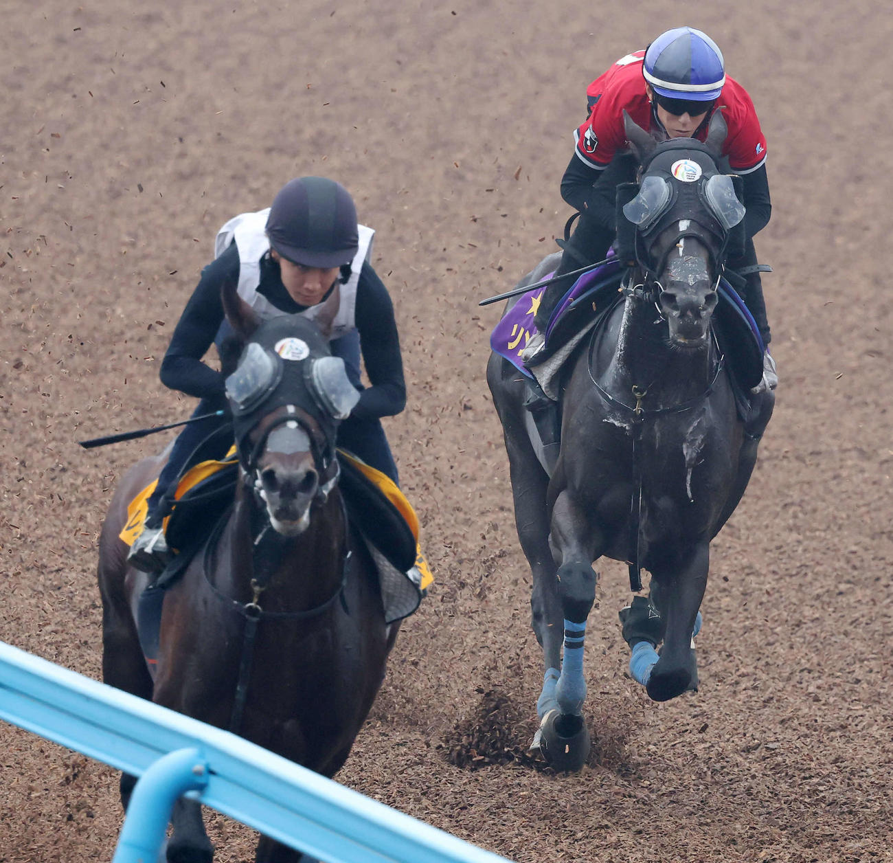 美浦ウッドで先行する僚馬を追い上げるソングラインと津村騎手（右）（撮影・丹羽敏通）
