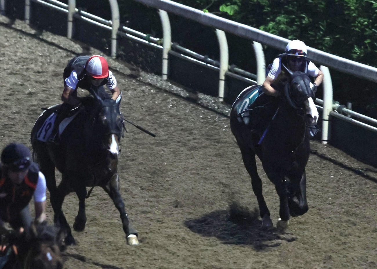 M・デムーロ騎手を背に坂路をショウナンガニアン（左）と併せ馬で追い切るクリダーム（撮影・白石智彦）