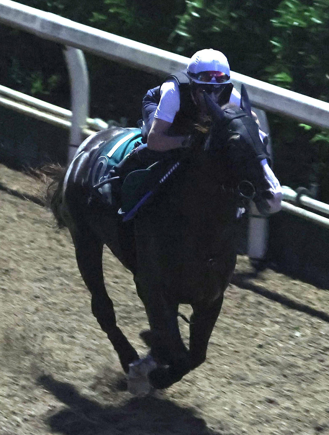 M・デムーロ騎手を背に坂路を併せ馬で追い切るクリダーム（撮影・白石智彦）