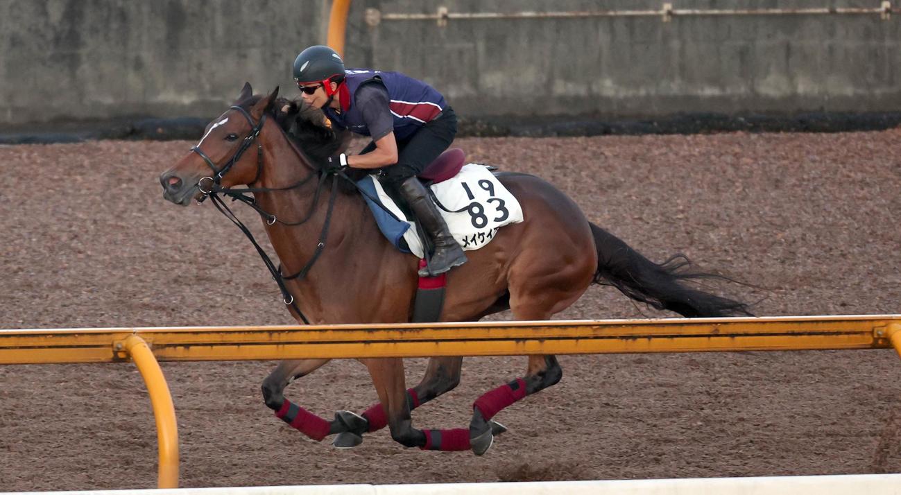 メイケイエールはCウッドを単走で追い切る