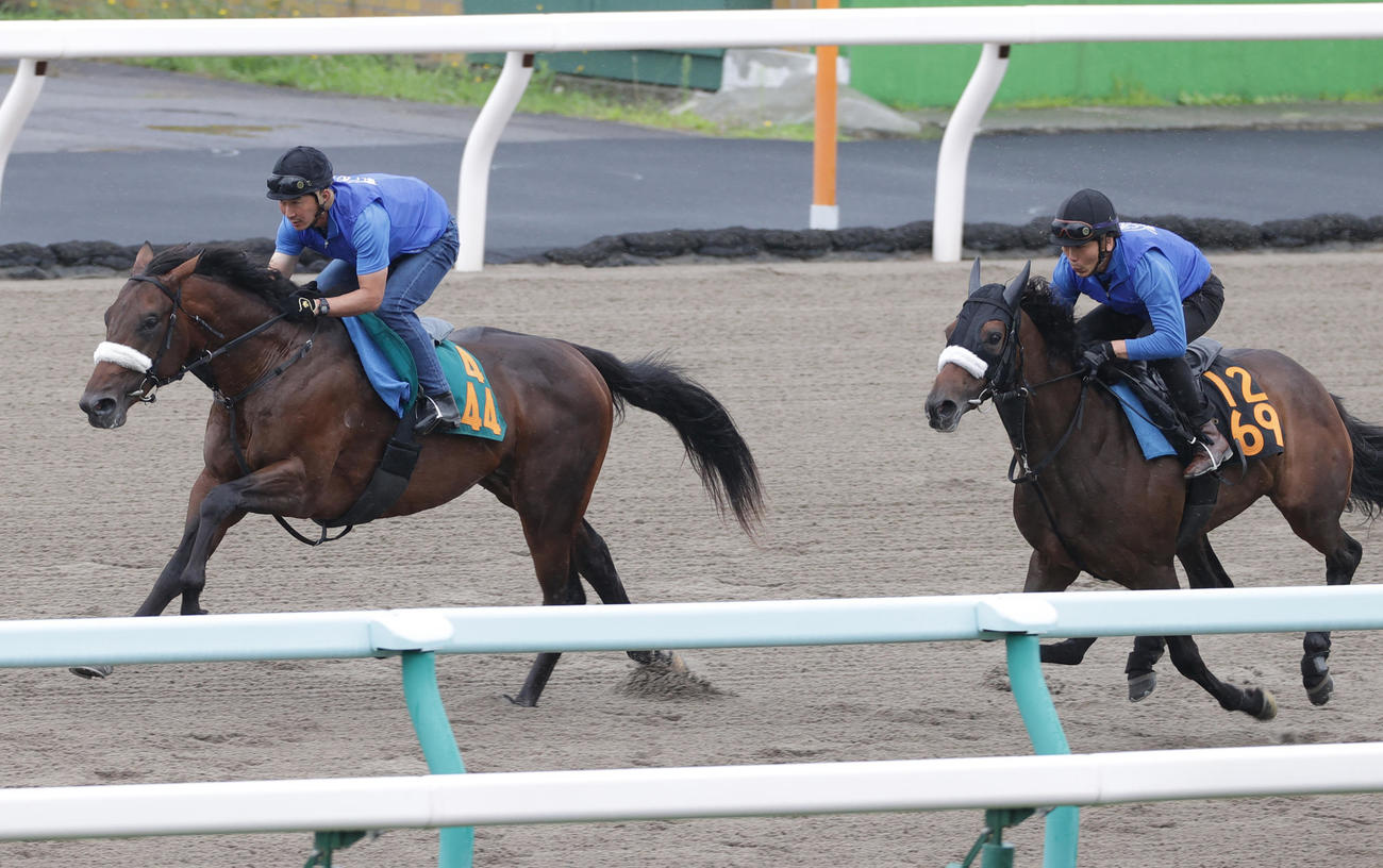 シャンドゥレール（左）は札幌ダートコースで追い切られた