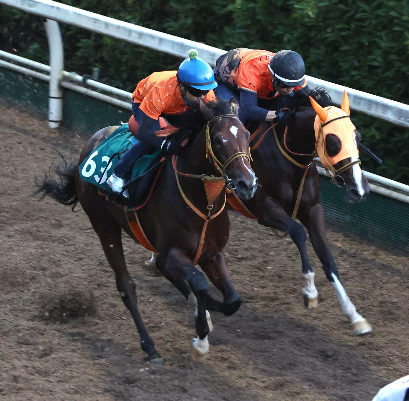 藤懸騎手を背にデームフォーチュン（右）と併せ馬で追い切るパンデアスカル（撮影・白石智彦）