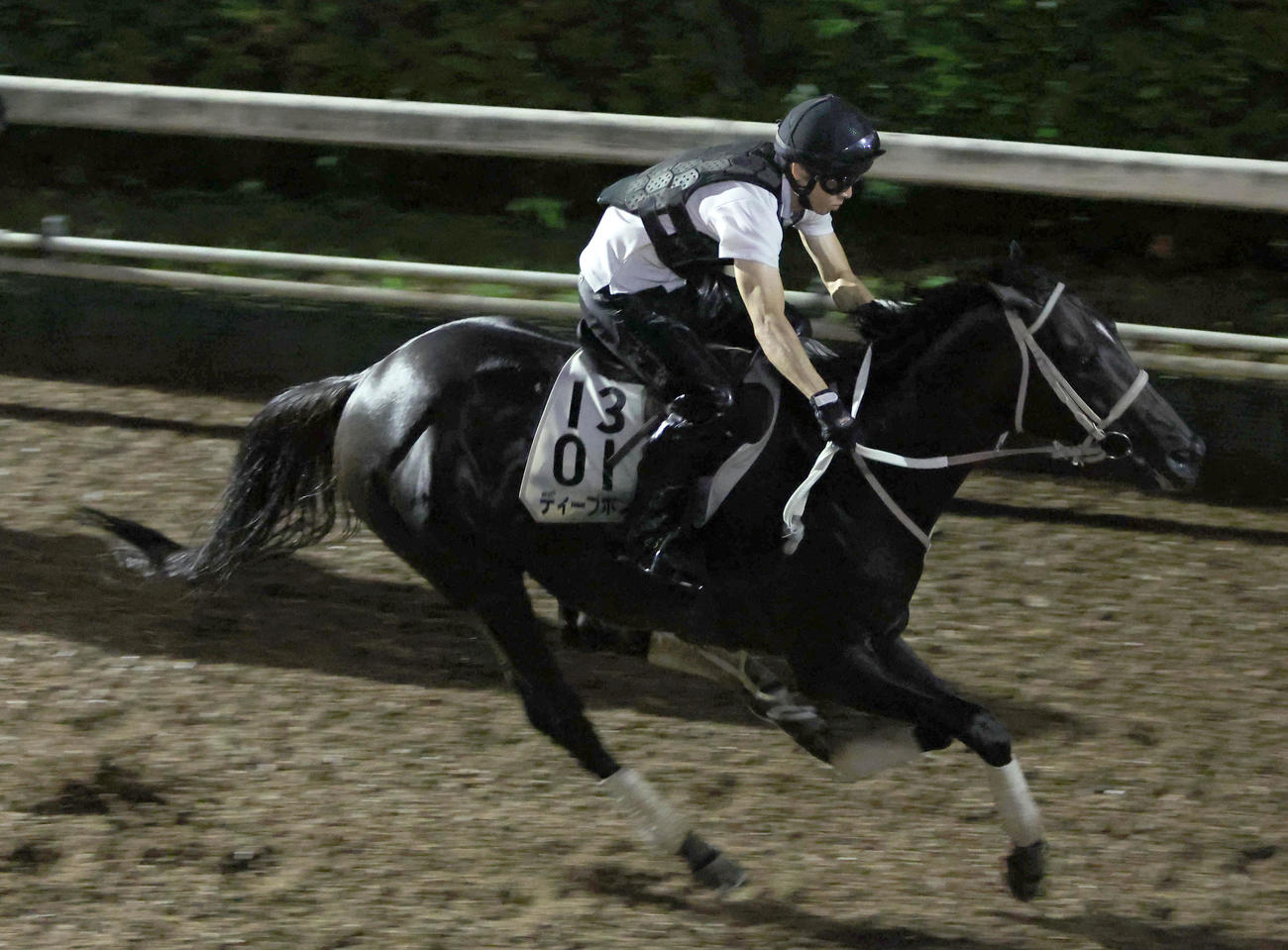 坂路を併せ馬で追い切るディープボンド（撮影・白石智彦）
