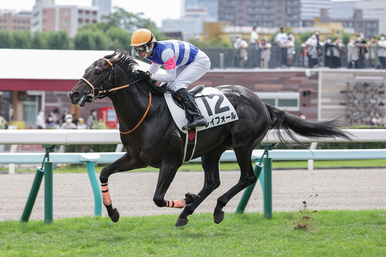 2歳未勝利を勝ち上がったレイフォール（撮影・村野早祐）