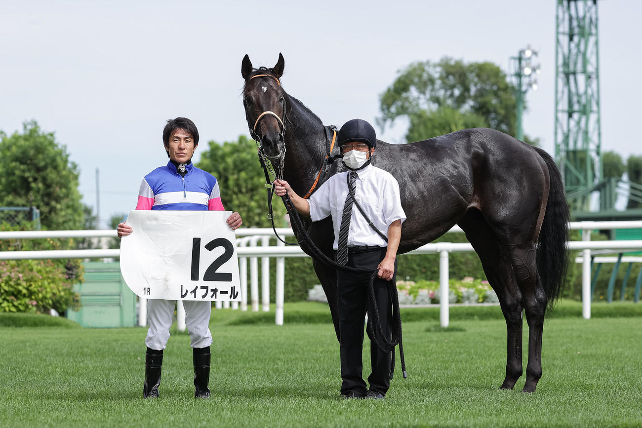 2歳未勝利を勝ち上がったレイフォール（撮影・村野早祐）