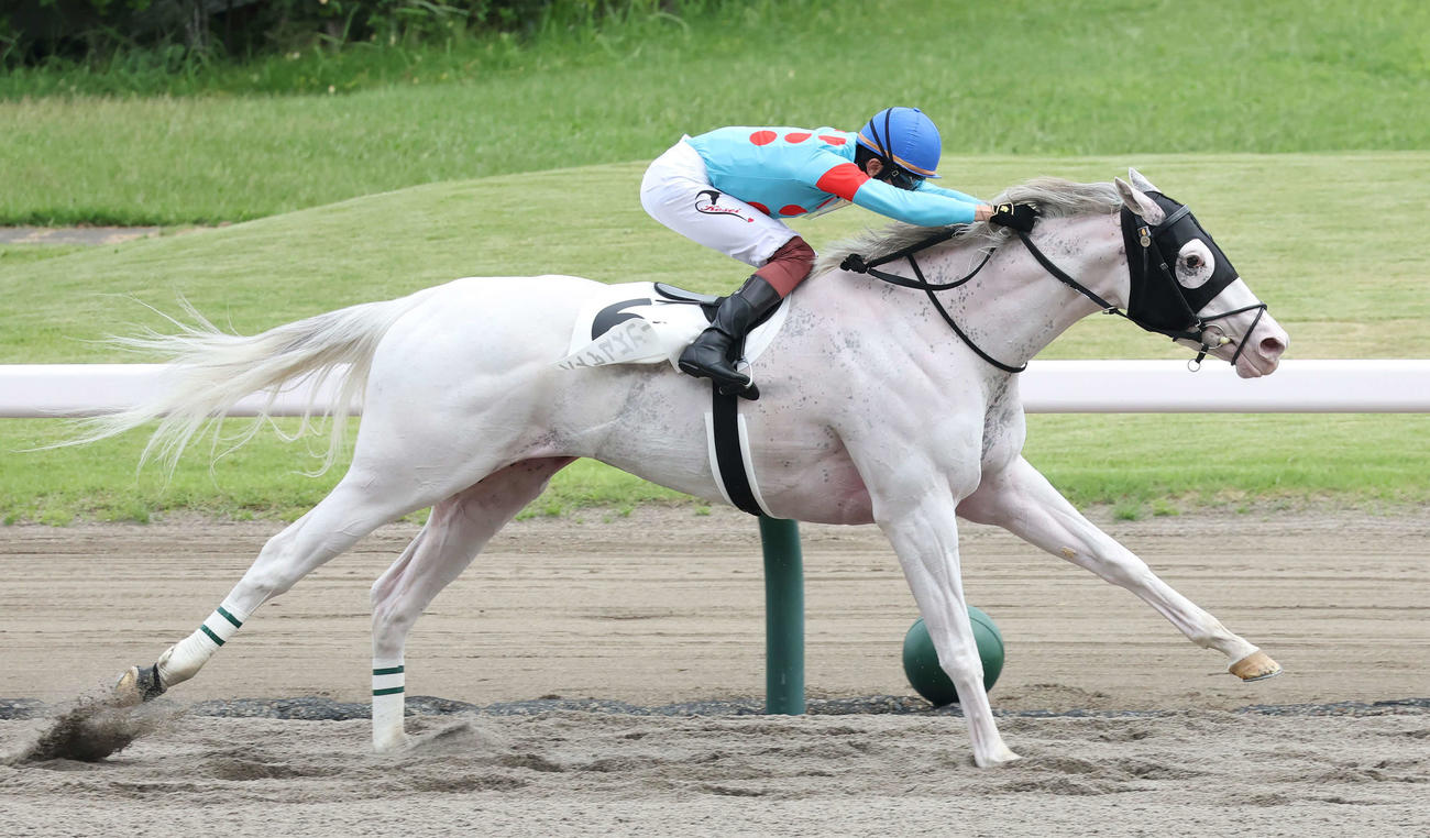 新潟8R、3歳上牝馬1勝クラスを制したハイアムズビーチと三浦騎手（撮影・丹羽敏通）