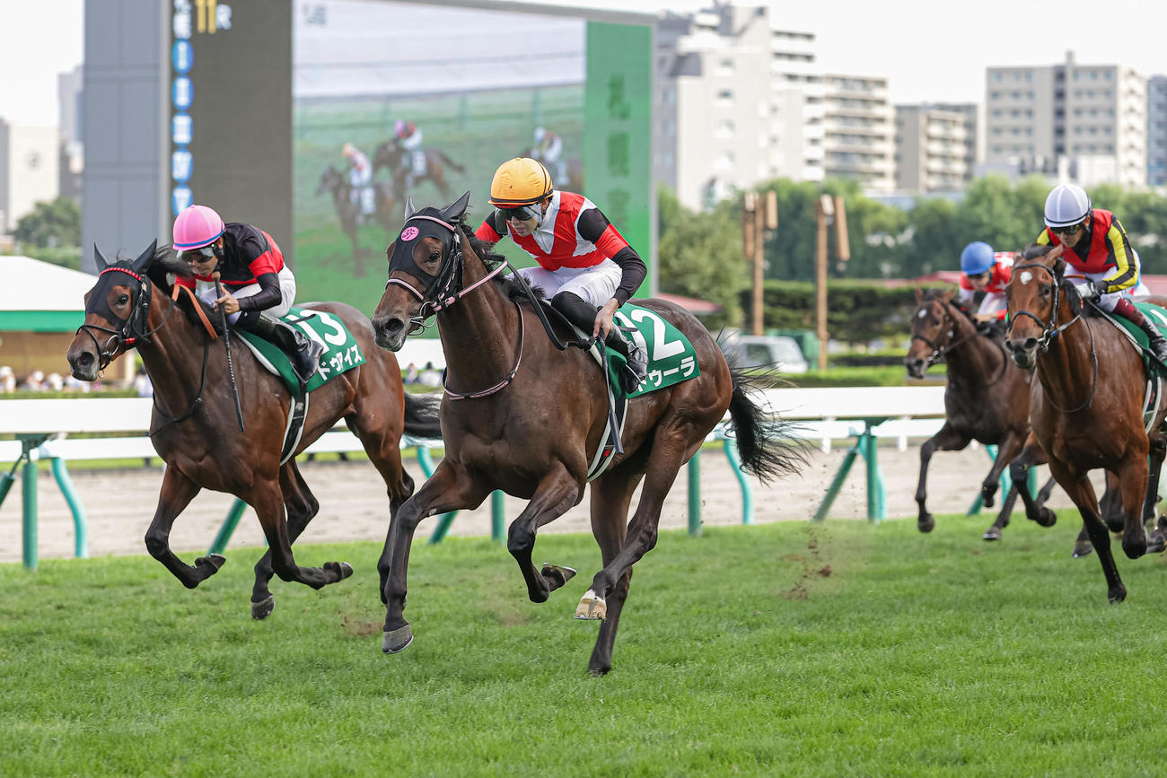 ドゥーラ（中）が連勝で札幌2歳Sを制した（撮影・村野早祐）