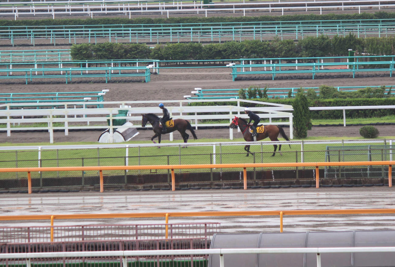美浦トレセンで障害試験に臨む人馬（撮影・木南友輔）