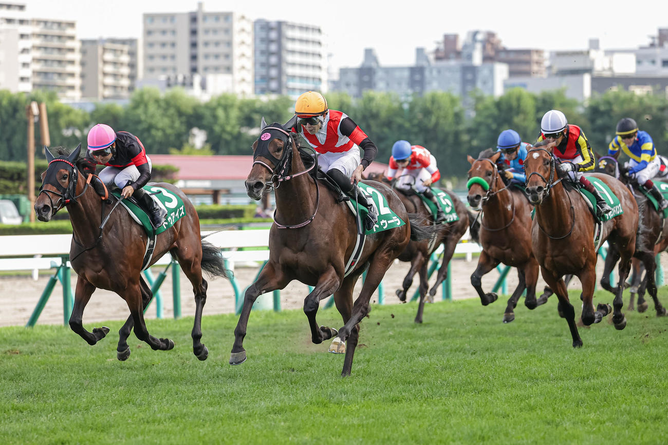 ドゥーラ（中）が連勝で札幌2歳Sを制した（撮影・村野早祐）