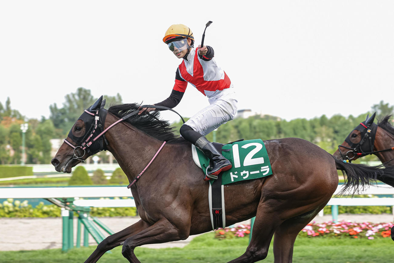 ドゥーラが連勝で札幌2歳Sを制した（撮影・村野早祐）