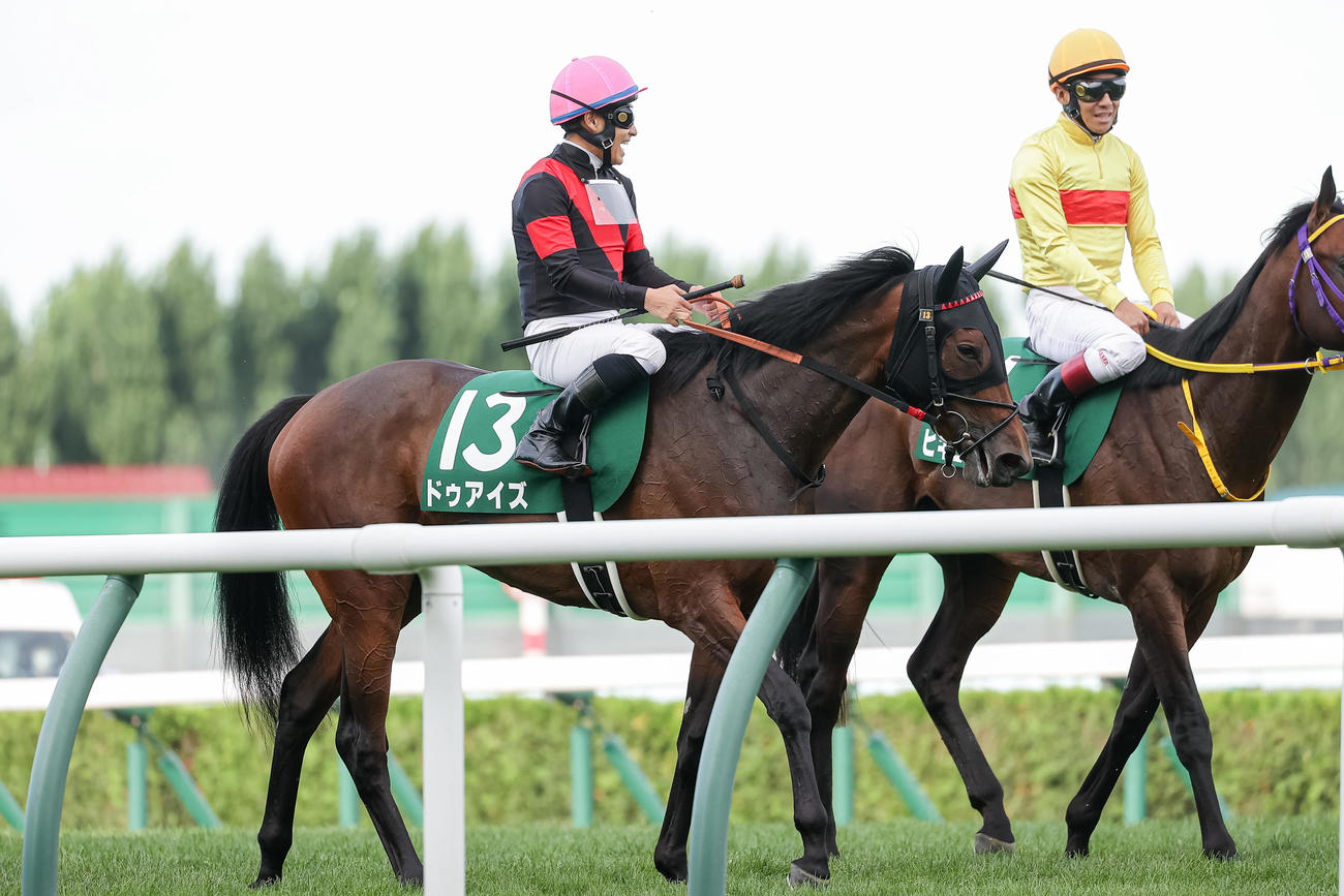 2着に敗れたドゥアイズと吉田隼騎手（撮影・村野早祐）