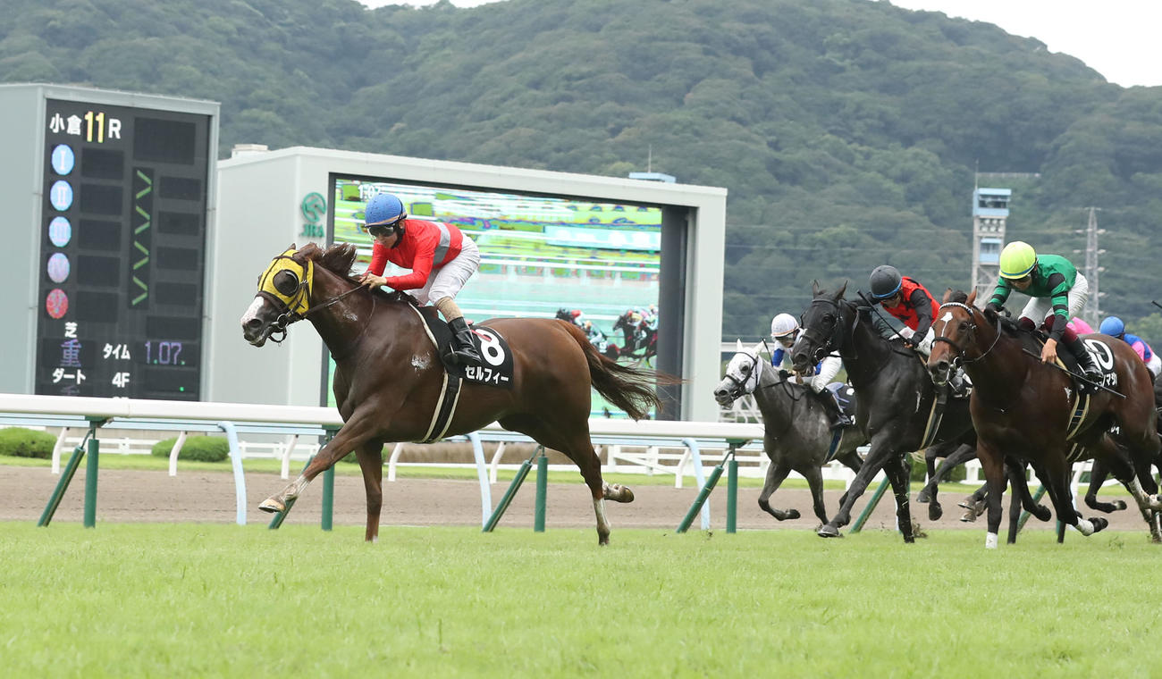 小倉11R　テレQ杯　1着のセルフィーと松若風馬騎手（撮影・屋方直哉）