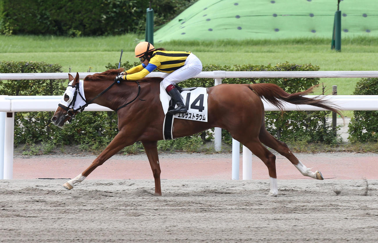 小倉3R 3歳未勝利　1着のエルザストラウムと今村聖奈騎手（撮影・屋方直哉）