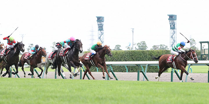 レシステンシア（右端）が3歳馬ピクシーナイトの猛追を首差しのぎ重賞4勝目を飾った（2021年、中京競馬場）