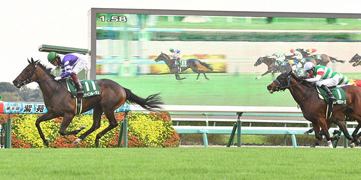 2番人気ファインルージュ（11）が、直線で鋭く伸びて重賞2勝目を挙げた（2021年、中山競馬場）