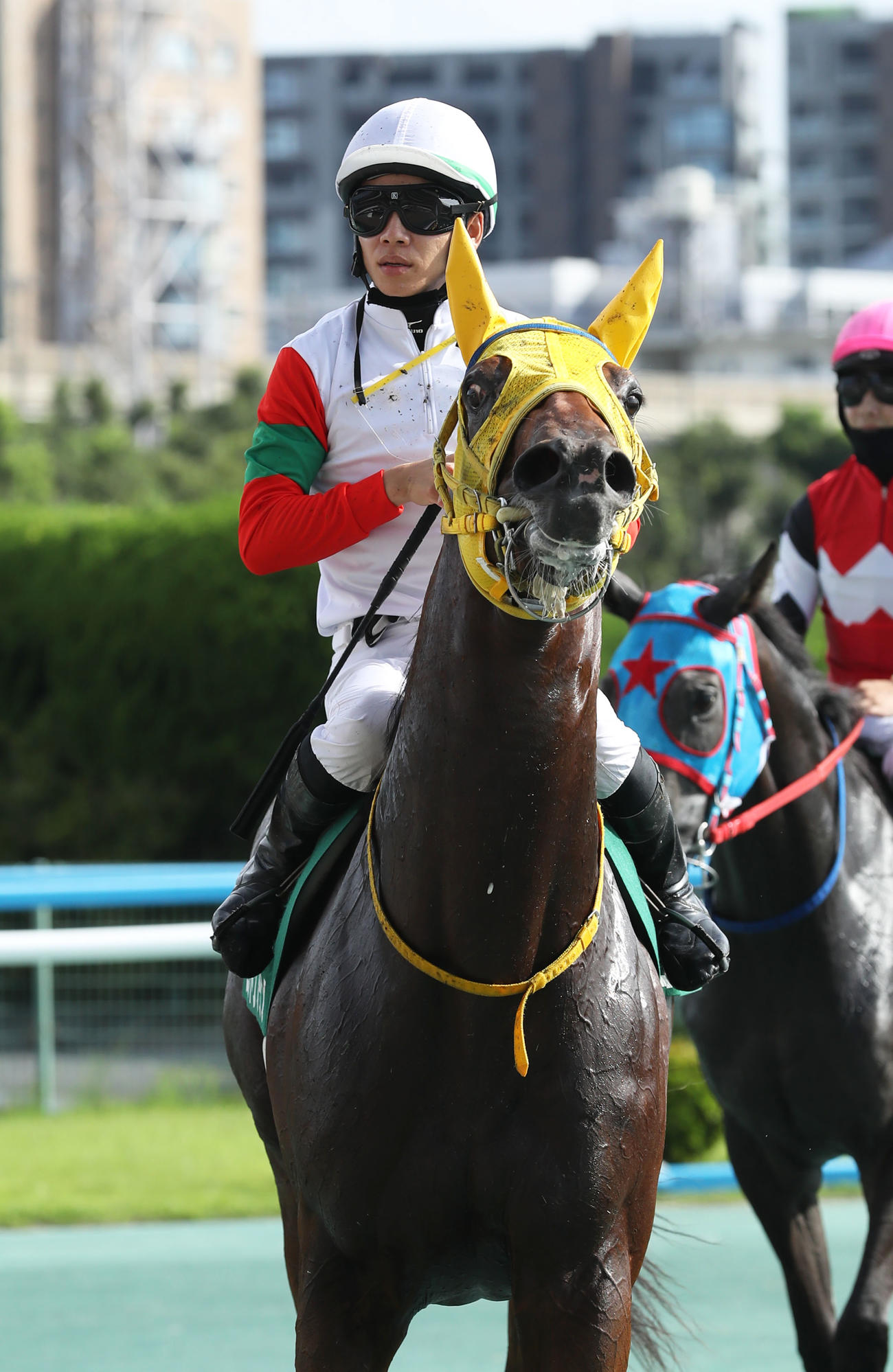 小倉2歳S1着のロンドンプランと松山弘平騎手（撮影・屋方直哉）