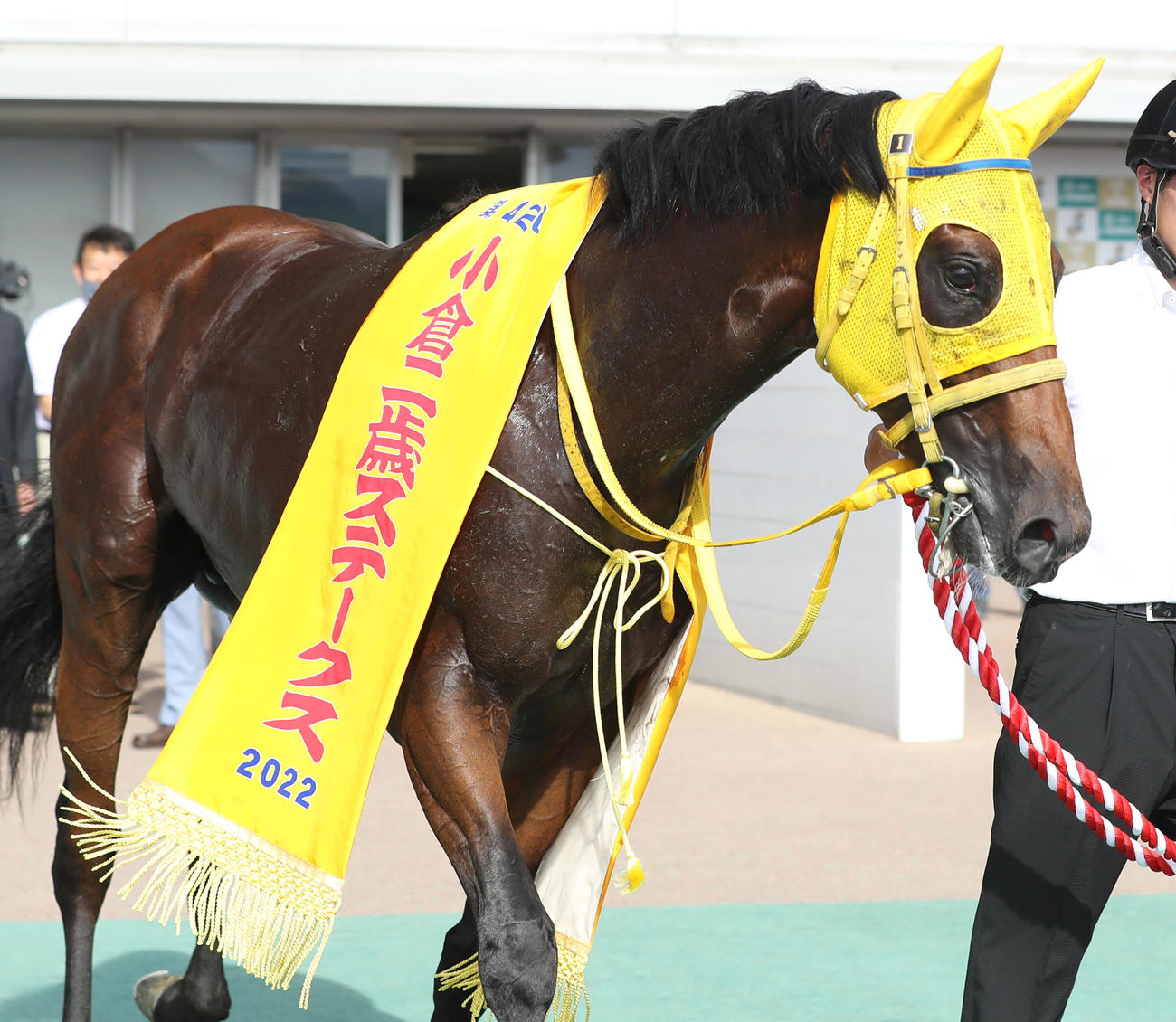 小倉2歳Sを制したロンドンプラン（撮影・屋方直哉）