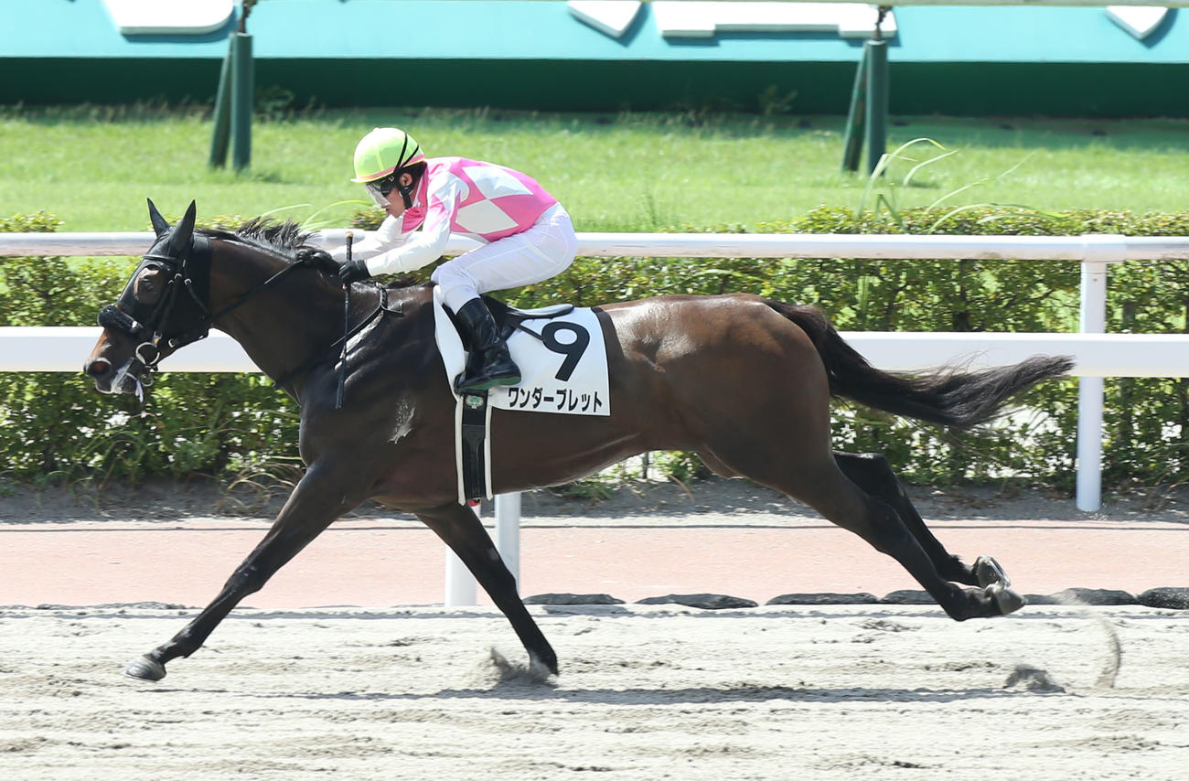 3歳未勝利　1着のワンダーブレットと小牧太騎手（撮影・屋方直哉）