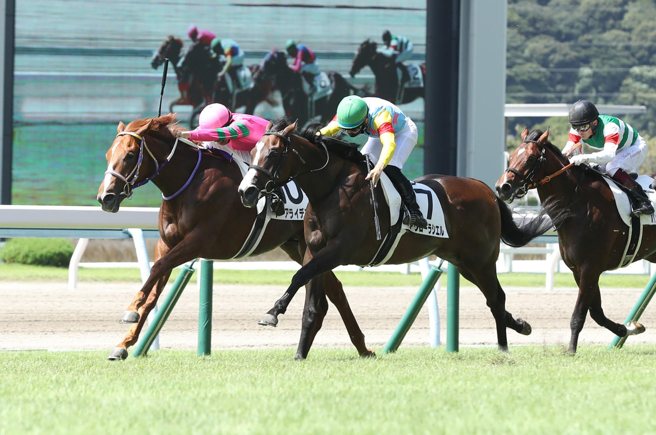 小倉5R1着のトーアライデン（撮影・屋方直哉）
