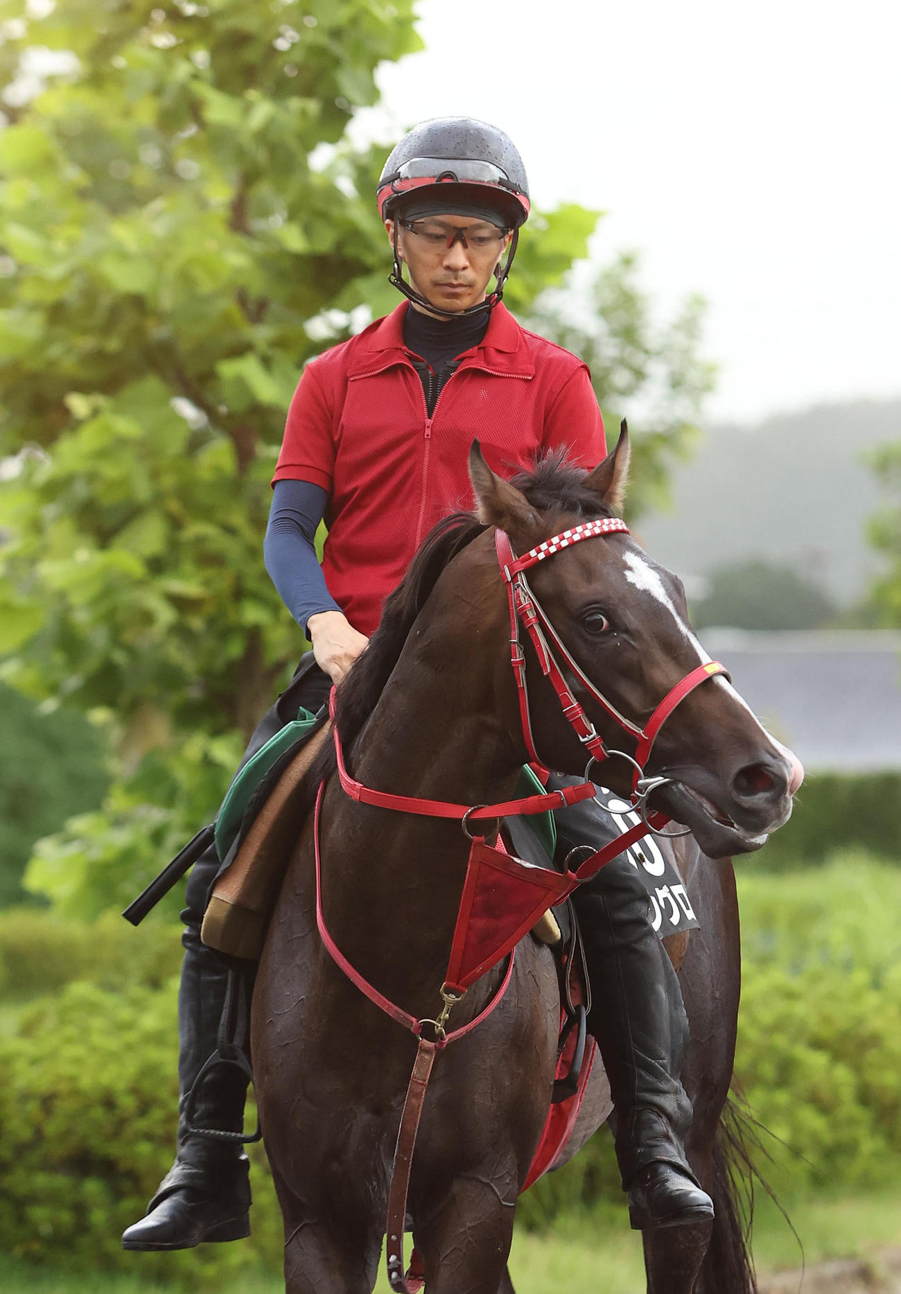 ジャングロ（2022年9月1日撮影）