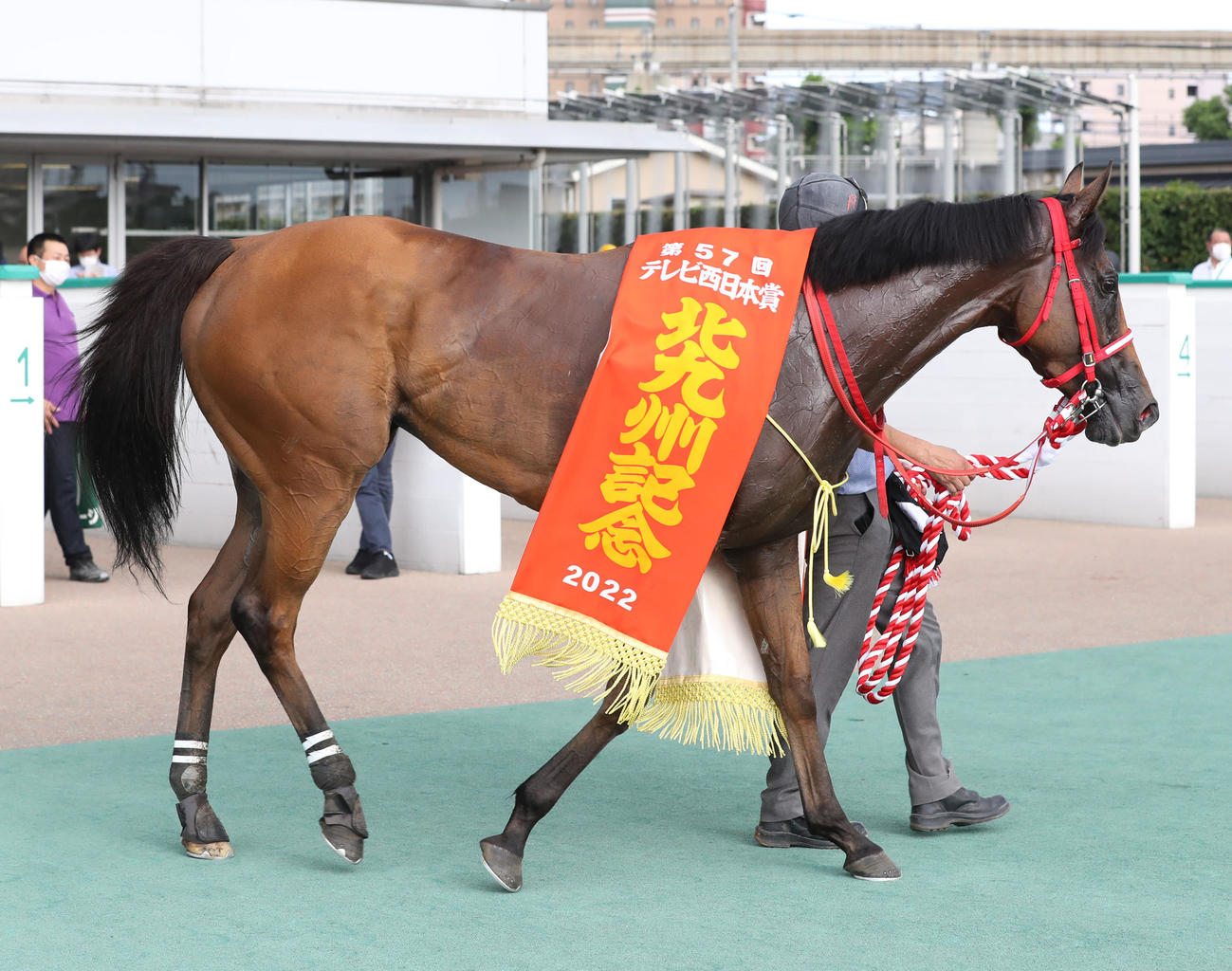 北九州記念を制したボンボヤージ（2022年8月21日撮影）