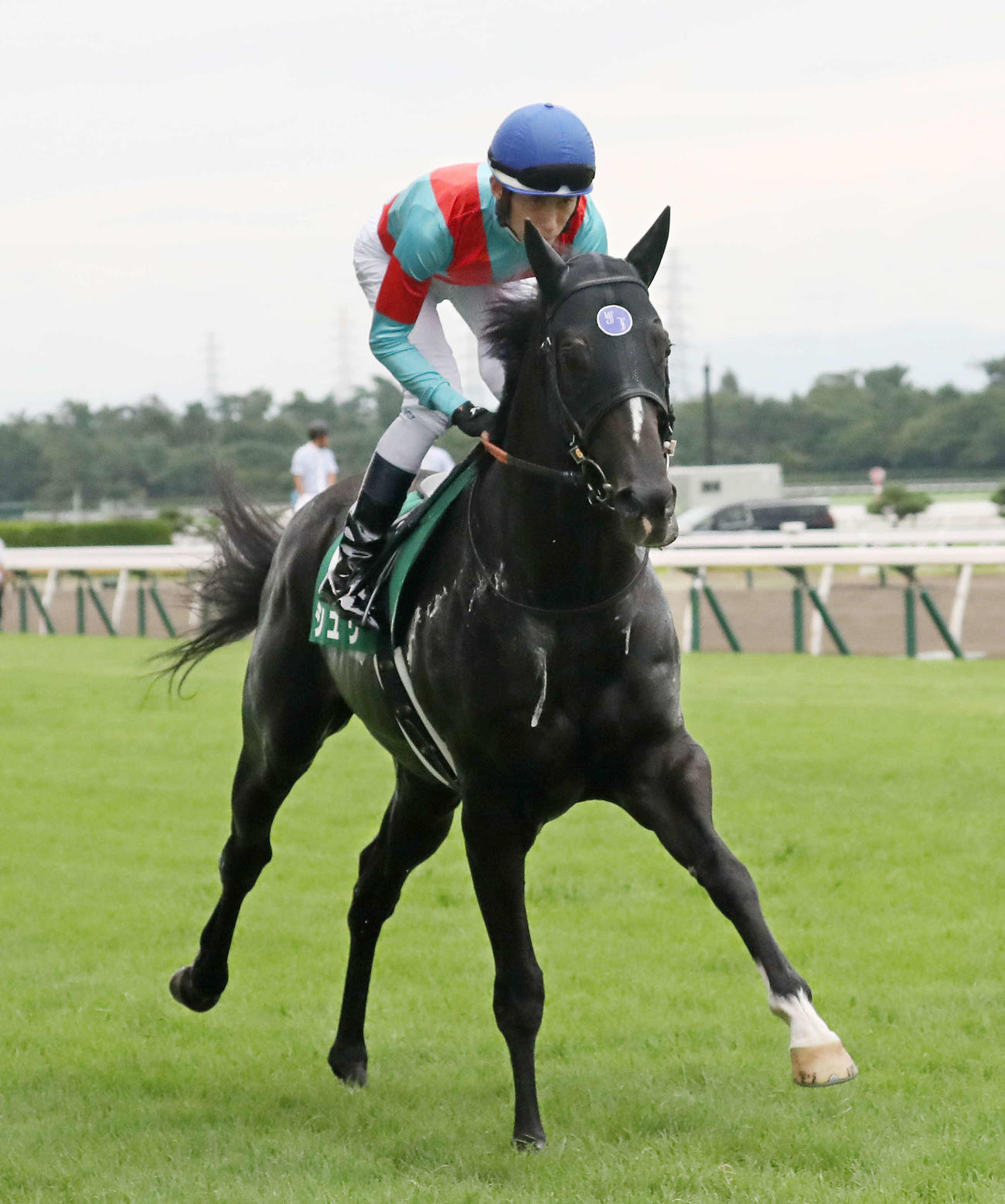 関屋記念に出走したシュリと津村騎手（2022年8月14日撮影）