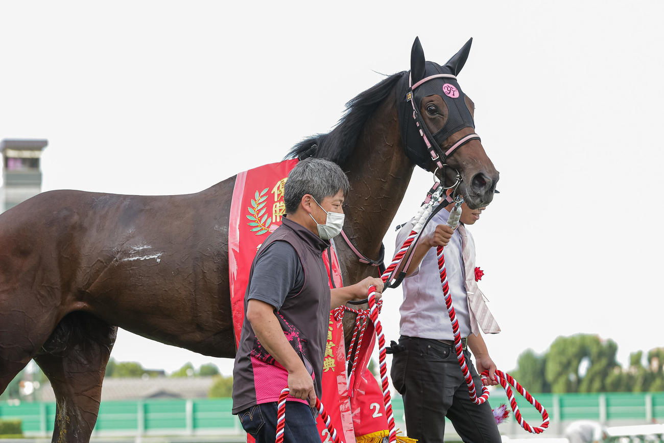 札幌2歳Sを制したドゥーラ（2022年9月3日撮影）