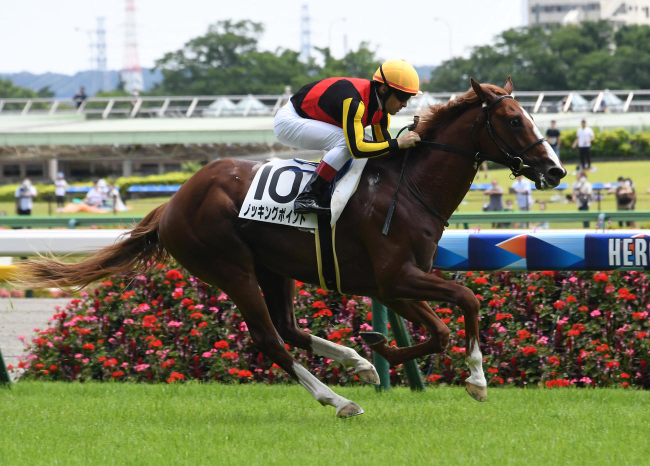 6月、デビュー戦を圧勝したノッキングポイント