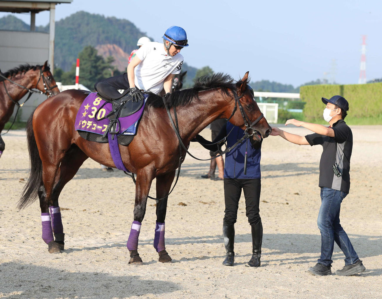 凱旋門賞日本勢初制覇の期待がかかるドウデュース（22年8月24日撮影）