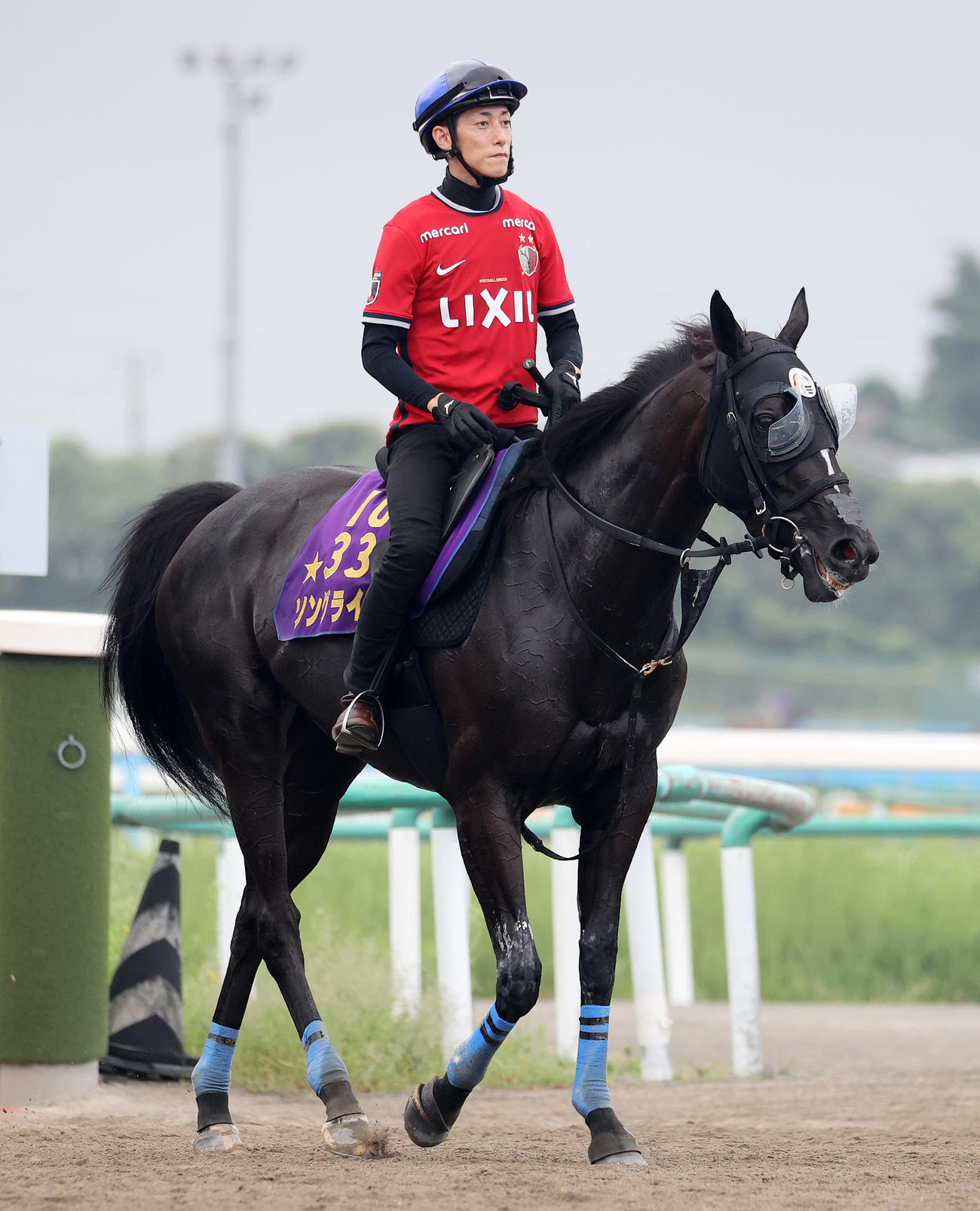 津村騎手を背に調教を終え引き揚げるソングライン（撮影・鈴木正人）