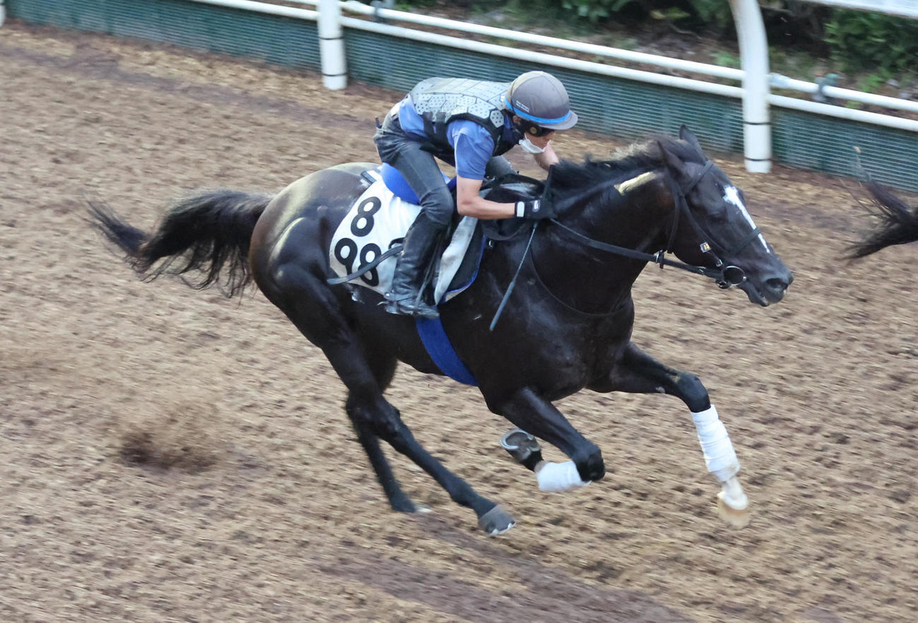 坂路で追い切るシュリ