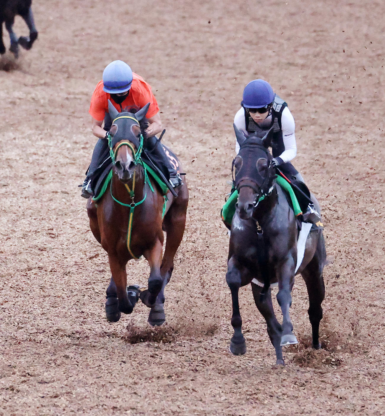 美浦ウッドで追い切るライラック（左）、右はテラフォーミング（撮影・鈴木正人）