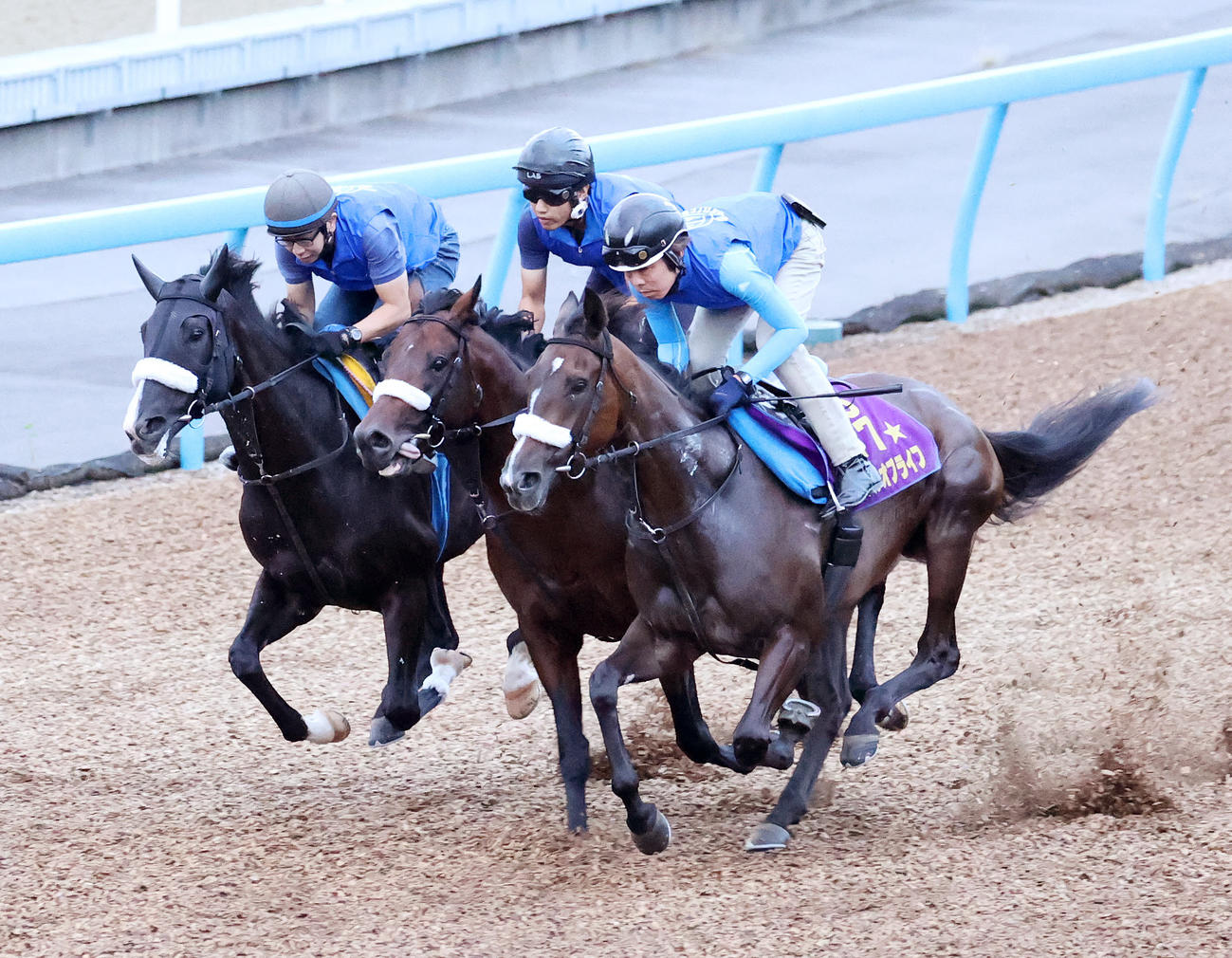 美浦ウッドを追い切るサークルオブライフ（右）（撮影・鈴木正人）